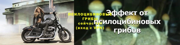 гашишное масло Покачи
