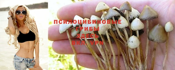 гашишное масло Покачи