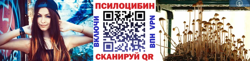 Псилоцибиновые грибы Psilocybe  Иноземцево 